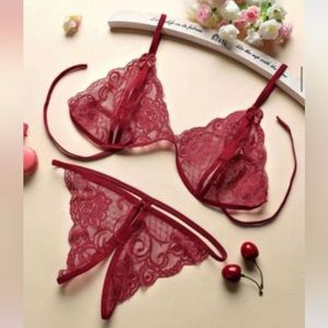 Lace Embroidered Sexy Bra Suit new with tag sexy fantasy wears